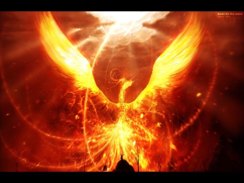 Phoenix rising up