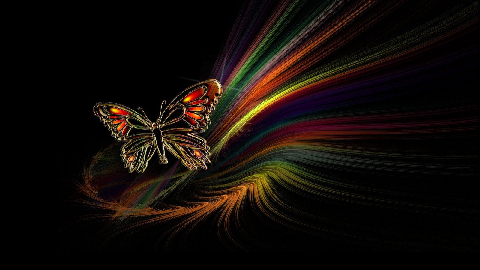 butterfly