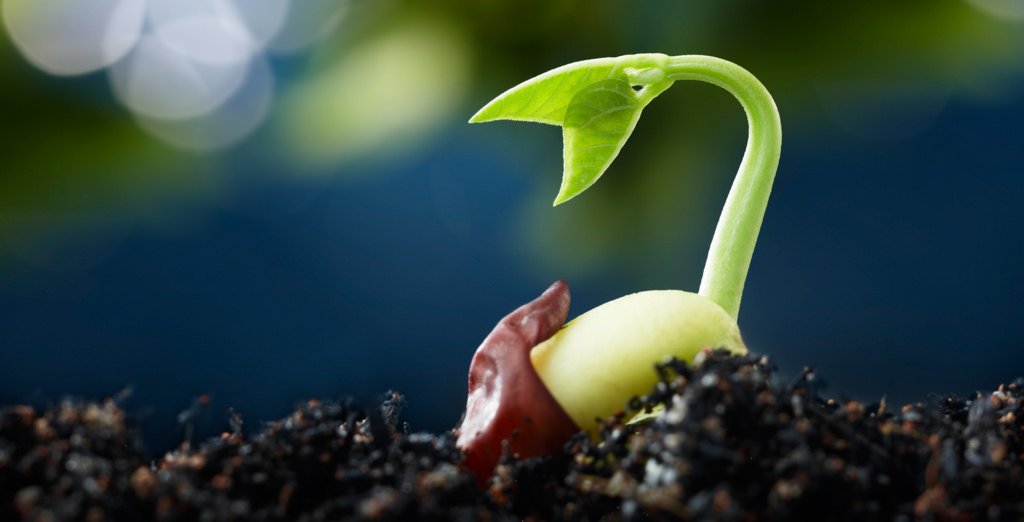 The Empowerment of Change
