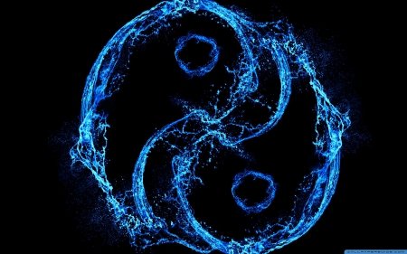 fluid yin/yang symbol