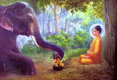 Buddha and elephant