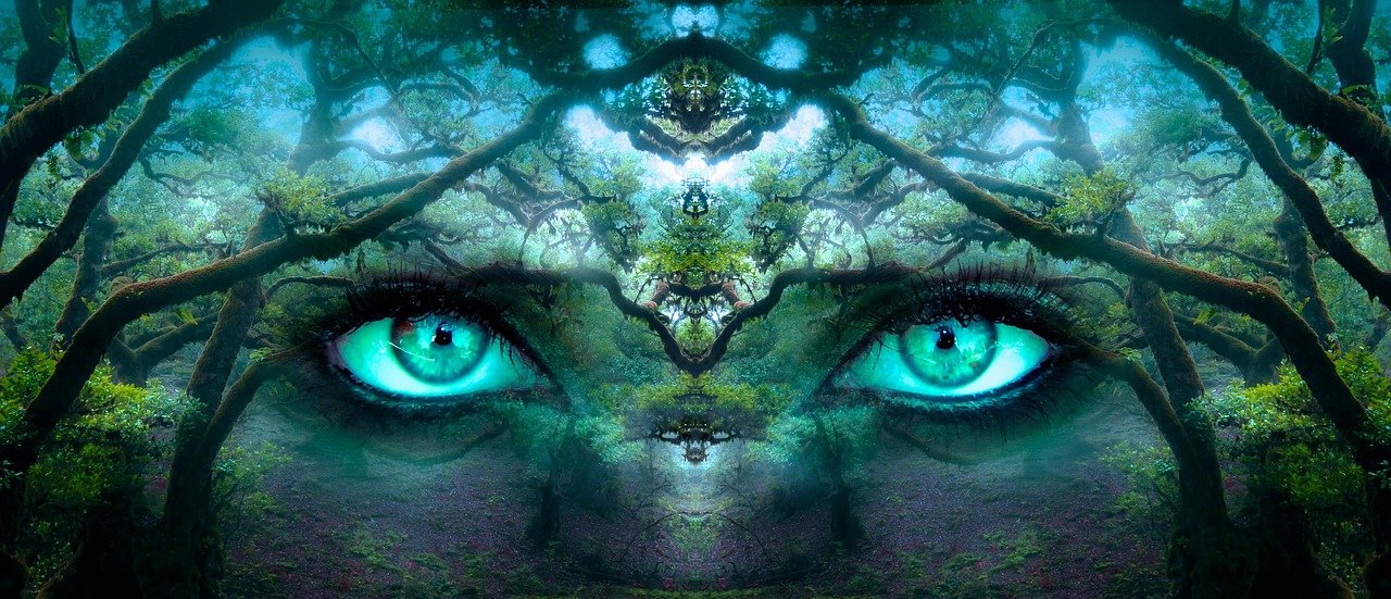 Eyes in woods