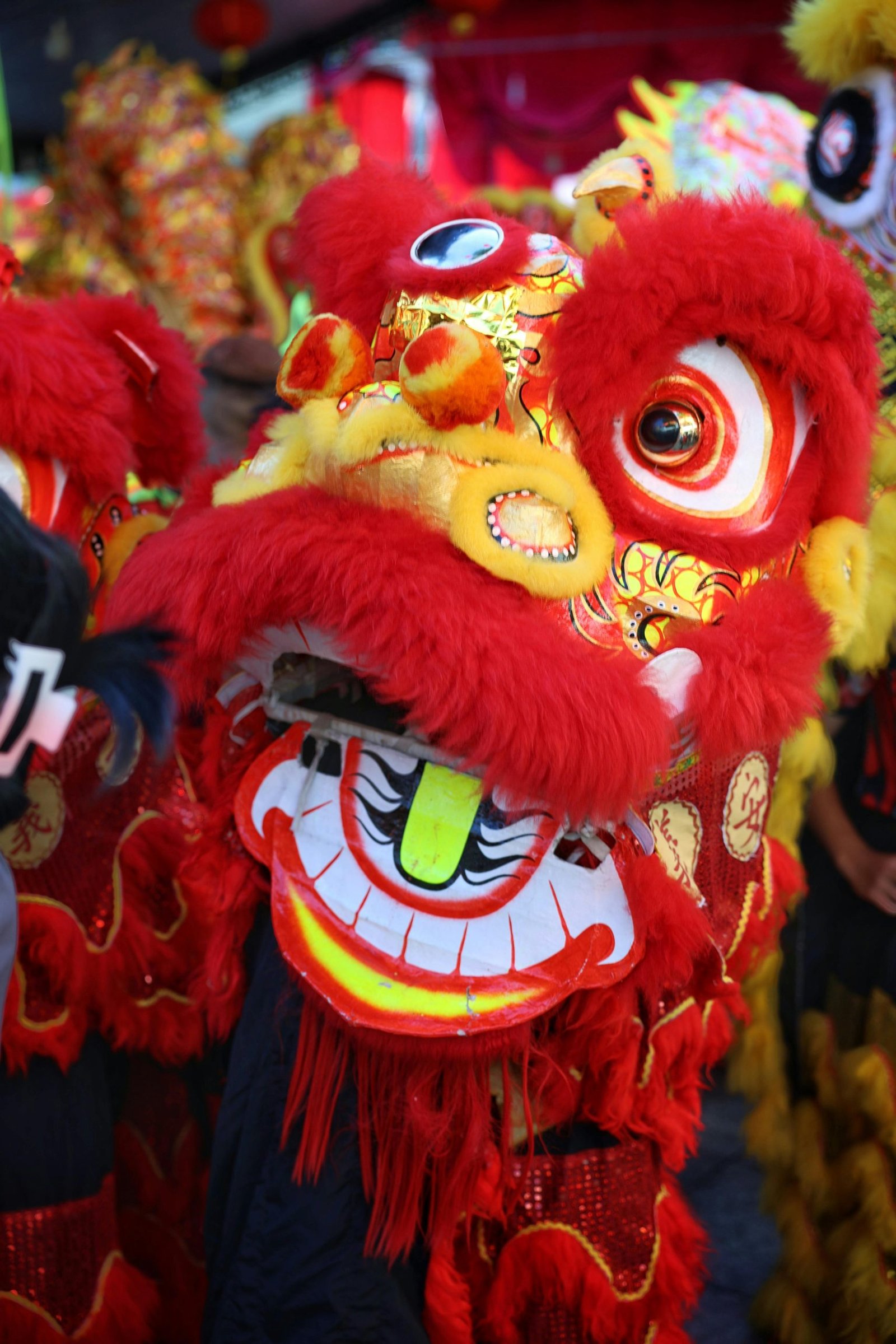 Close-up of a colorful Chinese lion dance costume during a festival celebration.