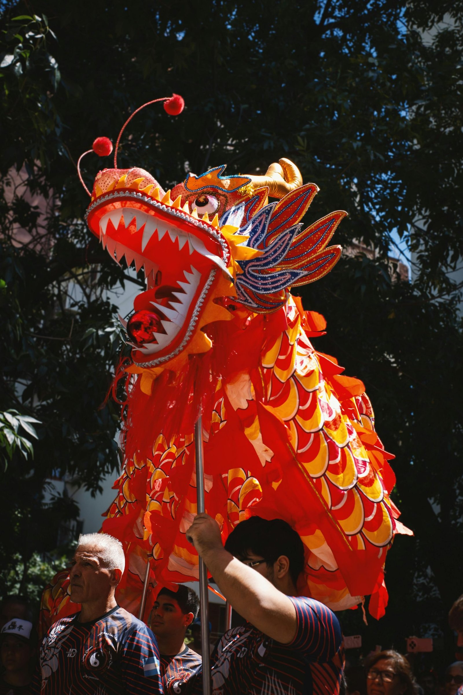 Colorful Chinese dragon dance performance during a festival in Buenos Aires.